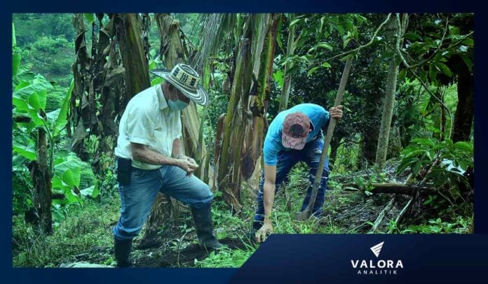 Trabajadores del agro colombiano