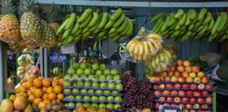Amazonas seguridad alimentaria