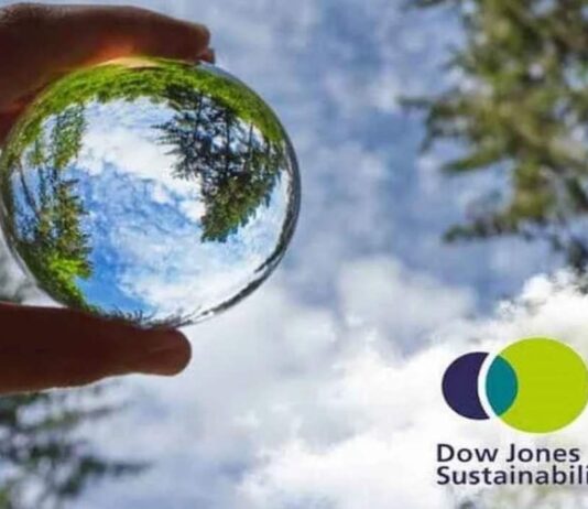 Índices de Sostenibilidad Dow Jones