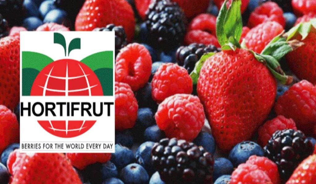 Canadiense PSP Investments busca adquirir hasta el 49,9 % de chilena Hortifrut