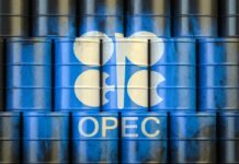 OPEP mantuvo alza en demanda de petróleo para 2023; espera que más rubos también suban