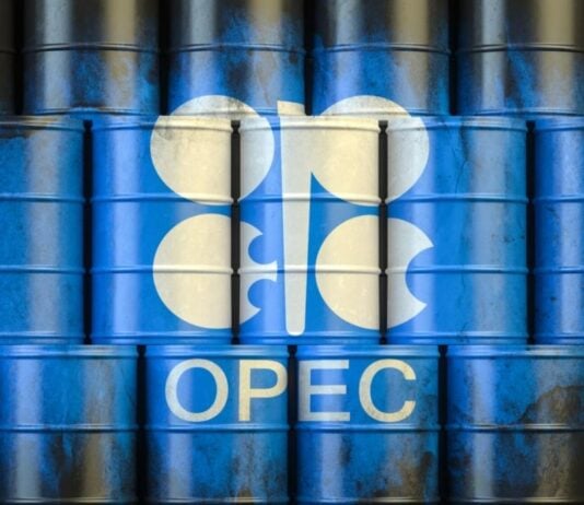 OPEP mantuvo alza en demanda de petróleo para 2023; espera que más rubos también suban