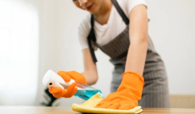Prima de servicios a la empleada doméstica en Colombia