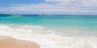 La alcaldía de Cartagena decretó cierres en las playas de Barú, en donde no habrá operaciones turísticas ni acceso marino ni terrestre. Foto: Pixabay