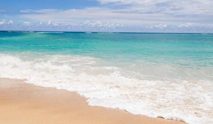 playa baru La alcaldía de Cartagena decretó cierres en las playas de Barú, en donde no habrá operaciones turísticas ni acceso marino ni terrestre. Foto: Pixabay
