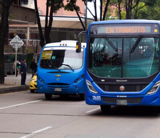 Buses transporte público