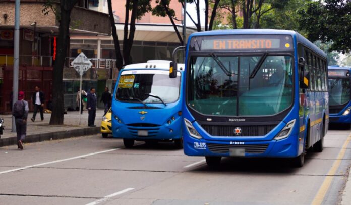 Buses transporte público