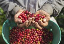 Café de Colombia
