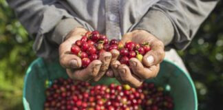 Café de Colombia
