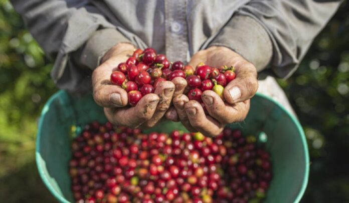 Café de Colombia