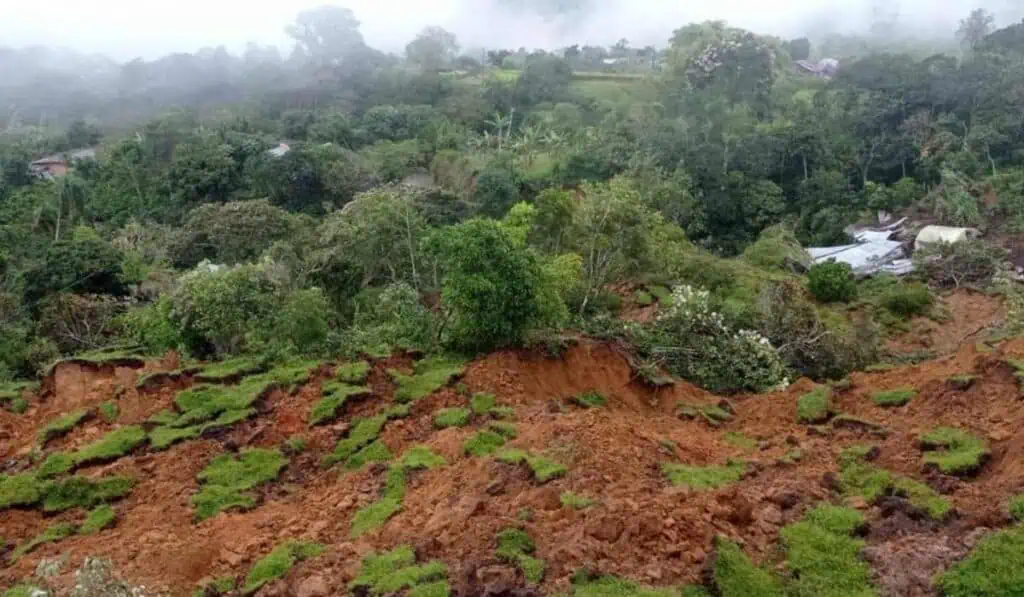 Solución definitiva en vía Panamericana (Colombia) costaría hasta $14 billones Deslizamiento en Rosas Cauca en vía Panamericana