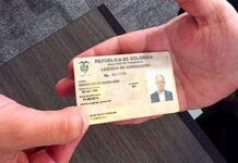 Licencia de conducción
