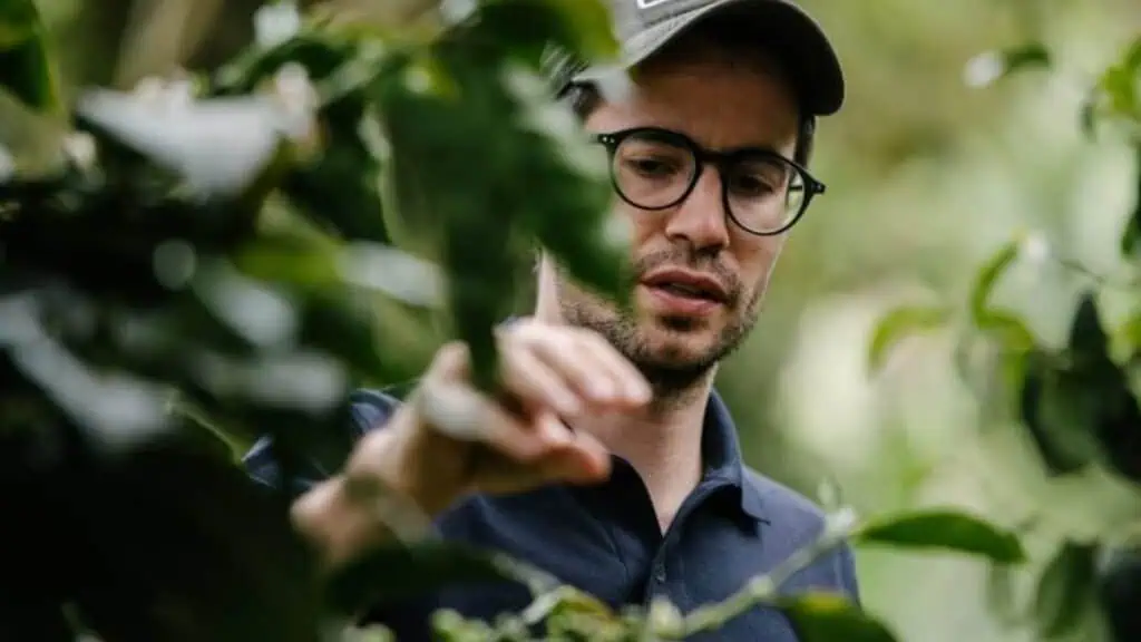 “Como sector de cafés especiales, le competimos a las grandes cadenas”: Pedro Echavarría, gerente de Pergamino Pedro Echavarria Pergamino Café