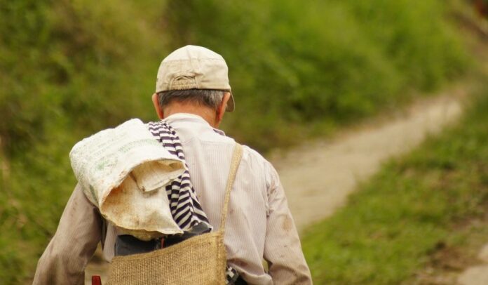 Pensión en Colombia semanas del seguro social