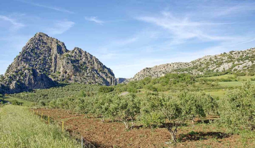 Pueblos de España están a la venta