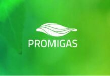 Ingresos de Promigas, primer trimestre de 2023