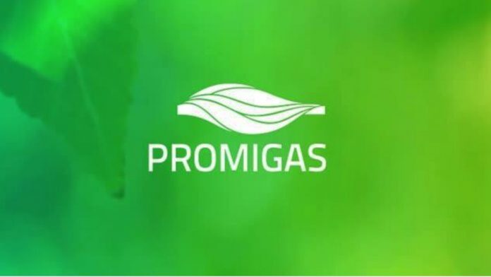 Transporte de gas natural en Manaure - Promigas
