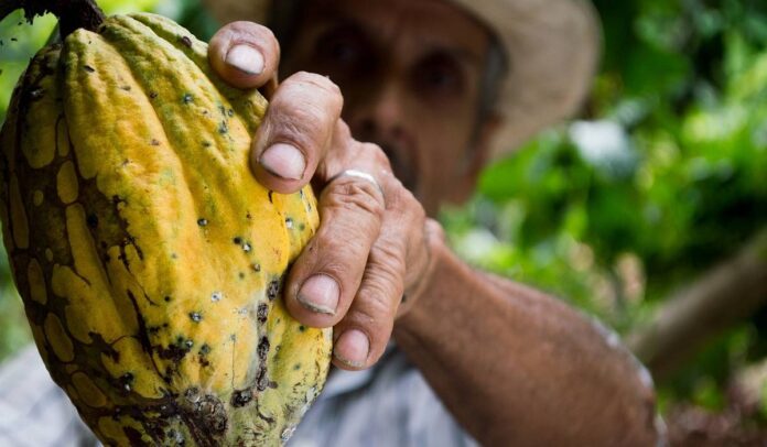 Índice Precios al Productor en Colombia