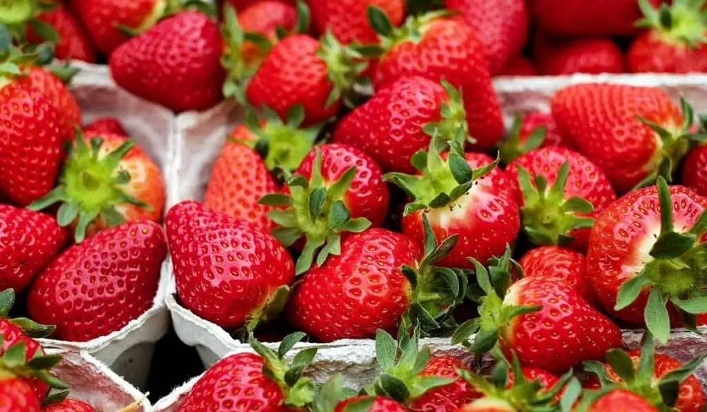 ¿Habría aumentado la inflación de Colombia en febrero? Expectativa por cifra de inflación en Colombia de febrero 2023