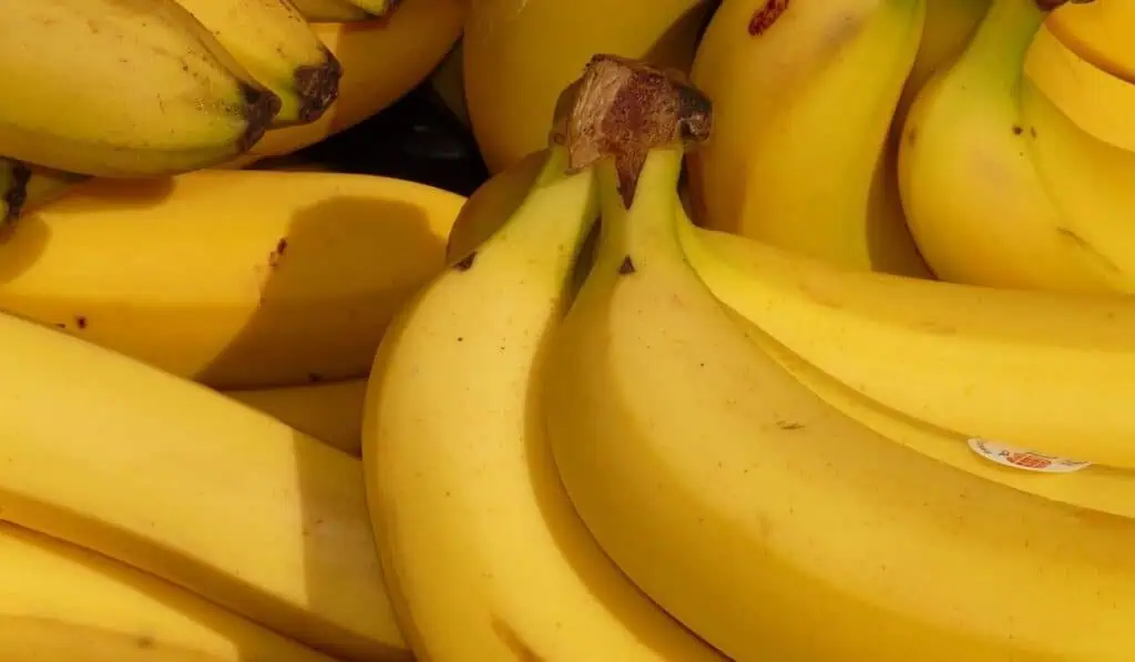 Esto viene para el precio de los alimentos en Colombia Inflación de los alimentos en Colombia febrero 2023