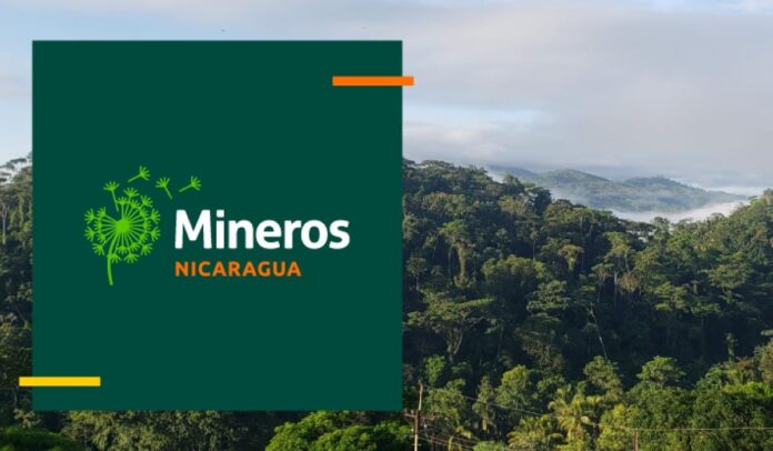Mineros anuncia hallazgo de oro en proyecto minero en Nicaragua