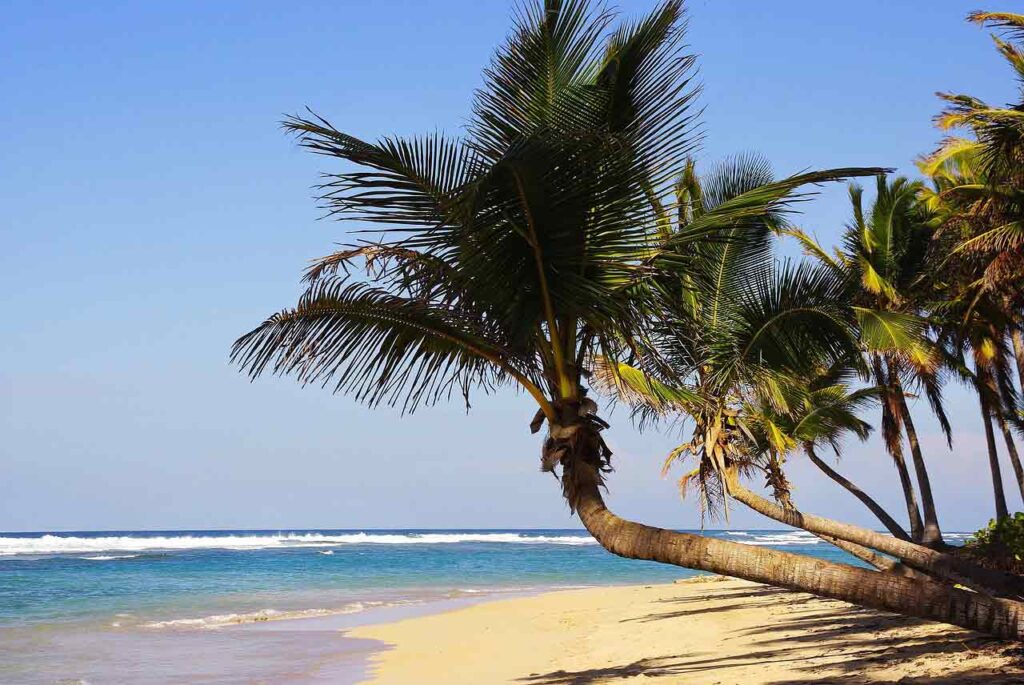 Playa de República Dominicana. 