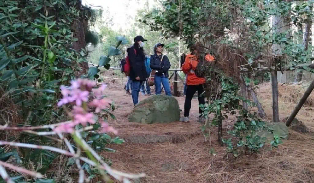 Así operarán los senderos naturales en Bogotá durante Semana Santa Senderos en Bogotá