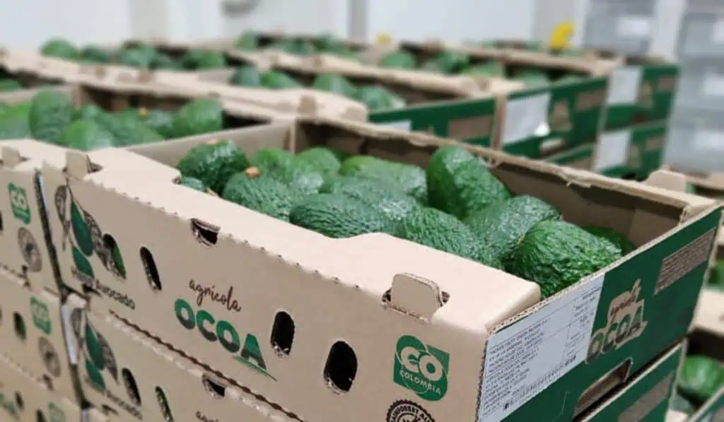Exportaciones no minero energéticas crecieron 7 % entre enero y julio de 2024 Estas son las claves para aprovechar el mercado de Estados Unidos como productor de alimentos