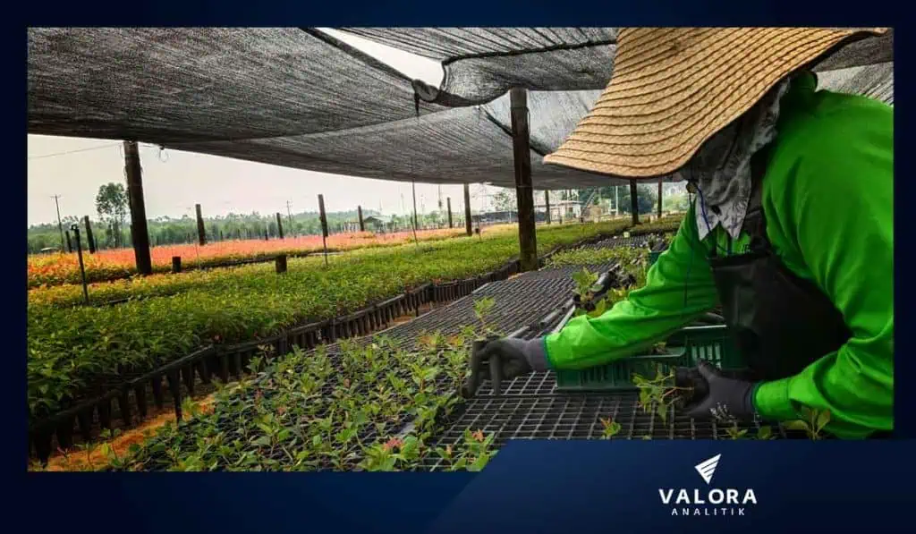Economía colombiana tuvo en 2024 el peor primer trimestre desde la pandemia Sector agro de Colombia