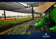 Sector agro de Colombia