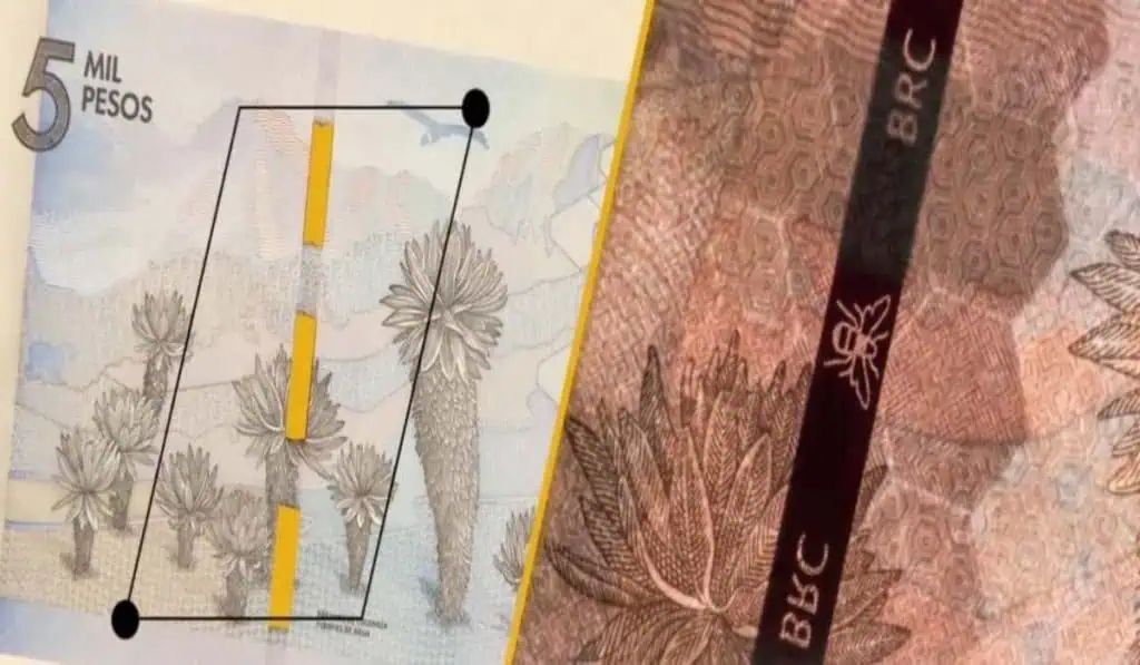 ¿Cómo diferenciar el dinero falso en Colombia? ¿Cómo diferenciar el dinero falso del bueno en Colombia?