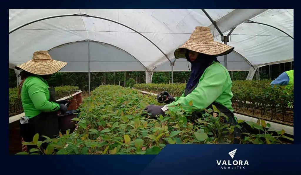 Día del campesino: con esta app puede hacer monitoreo a su cultivo y finanzas Campesinos pueden digitalizarse con esta opción.