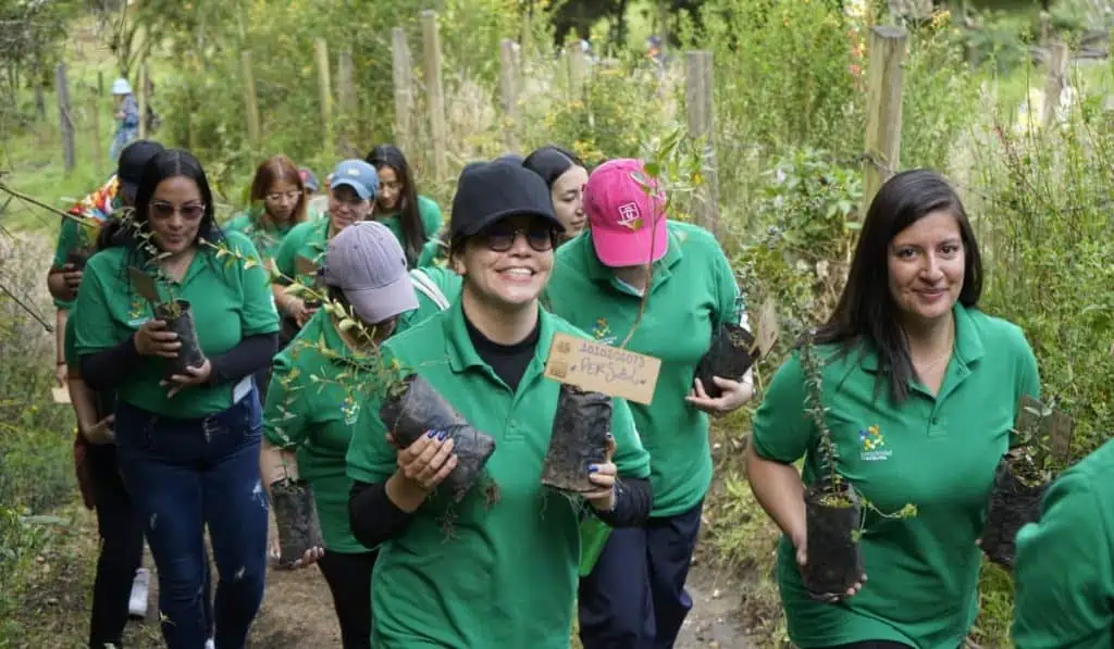 La apuesta de Cruz Verde por la sostenibilidad y la responsabilidad social en Colombia Cruz Verde Sostenibilidad