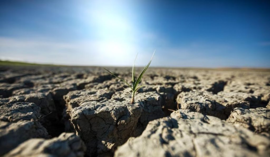 Así es el fenómeno de El Niño