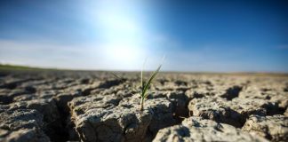 Así es el fenómeno de El Niño
