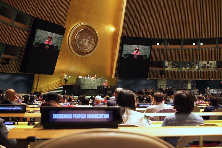 22°Foro Permanente para las Cuestiones Indígenas