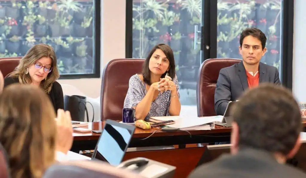 ¿Qué dijo la ministra Irene Vélez sobre la llegada de Ricardo Roa a Ecopetrol? Irene Vélez, ministra de Minas, habla de Ricardo Roa, nuevo presidente de Ecopetrol