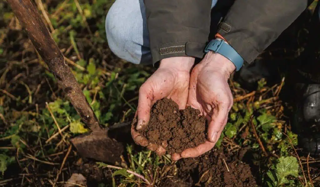 Diseños sostenibles: apuesta de Diageo para proteger el medio ambiente Ser sostenibles desde el diseño: Diageo