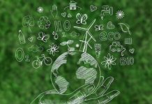 Viridi invertirá US$65 millones en proyectos de transición energética en Colombia para 2024
