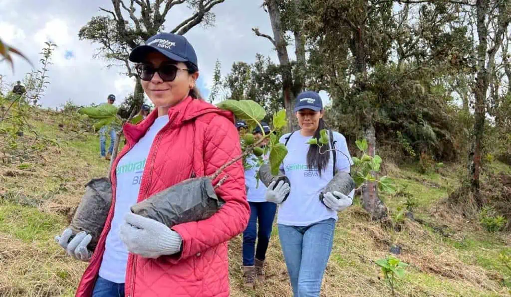 Así es el compromiso social y ambiental de BBVA en Colombia Sostenibilidad en BBVA