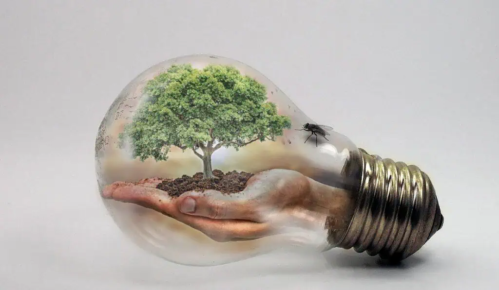 Fenómeno de El Niño: Así podrá afectar al sector energético en Colombia Cambio climático en Colombia ¿Un asunto de mitigación o adaptación? Imagen: ván Tamás en Pixabay