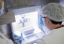 Belcorp produce Ésika, L'EBEL y Cyzone