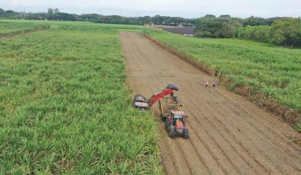 Riopaila Castilla cerró 2022 con un crecimiento de 27 % en sus ingresos Riopaila Castilla cerró 2022 con un crecimiento de 27 % en sus ingresos