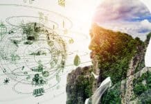Sostenibilidad y medio ambiente
