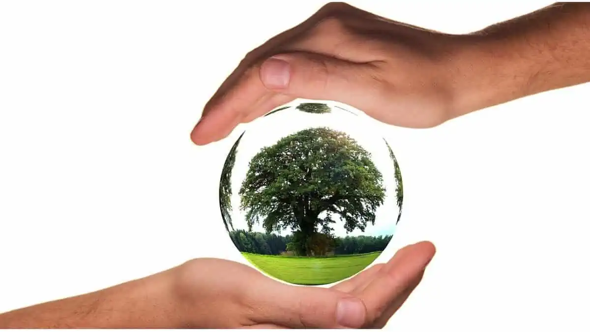 En Perspectiva Cop 16