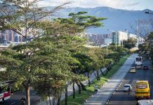 Pico y placa en Medellín