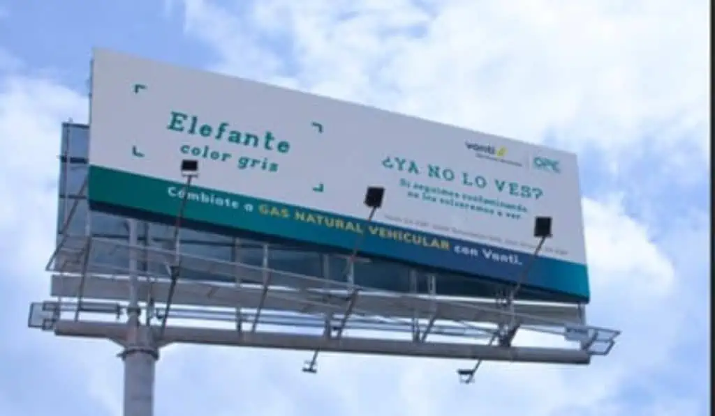 #ValoraSostenible | Fauna y medio ambiente, foco de las empresas en Colombia Vanti