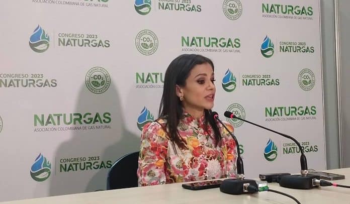 Presidente de la Asociación Colombiana de Gas Natural (Natrugas), Luz Stella Murgas
