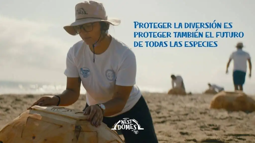 #ValoraSostenible | Desarrollo sostenible y medio ambiente: prioridades en Colombia Nest Domes, los domos que protegen a las tortugas marinas