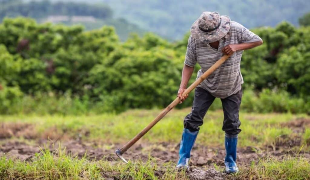 Agro colombiano